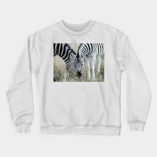 Grazing zebra on African plains Crewneck Sweatshirt